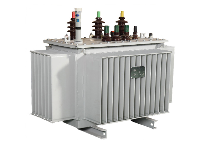 10kV Oil-immersed fully sealed Distribution Transformer